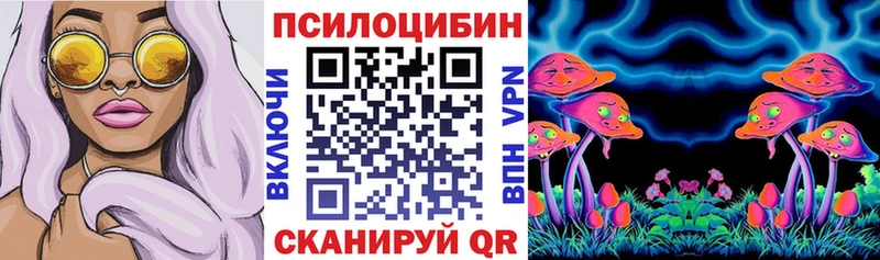 Псилоцибиновые грибы Psilocybe  магазин  наркотиков  Сургут 